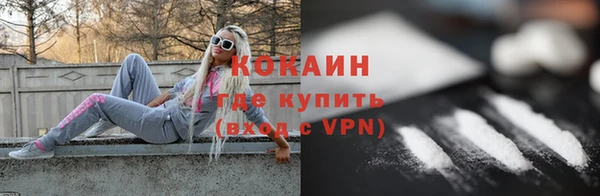 крисы Мегион