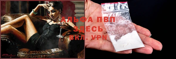 крисы Мегион