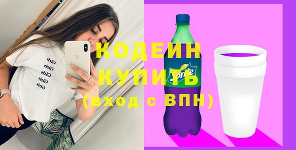 крисы Мегион