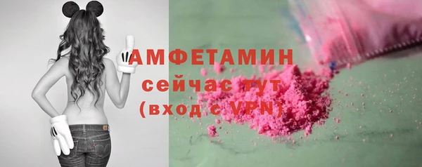 крисы Мегион