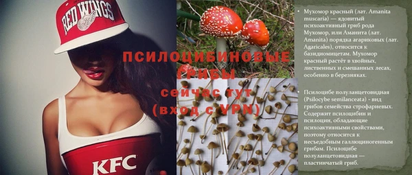 трава Михайлов