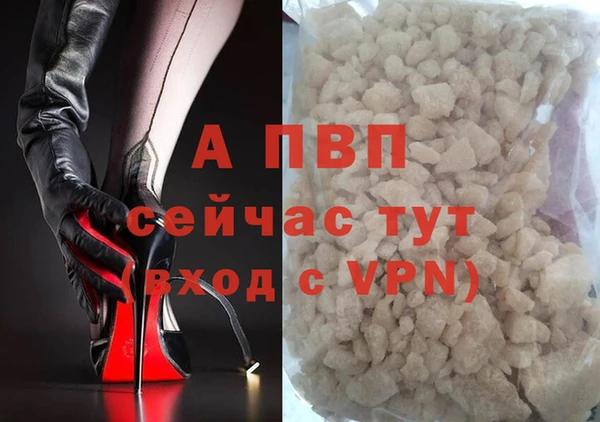 крисы Мегион