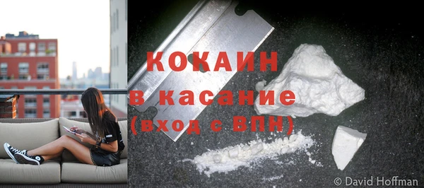 гидропоника Медногорск