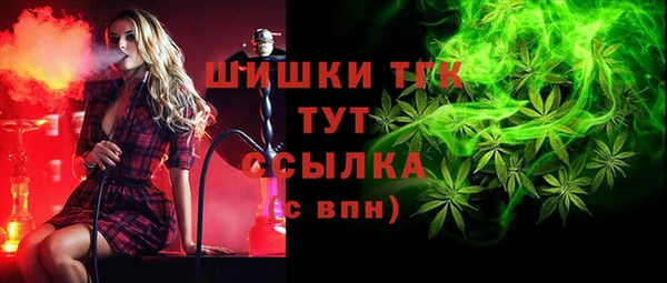 крисы Мегион