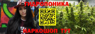 PSILOCYBIN Дубна