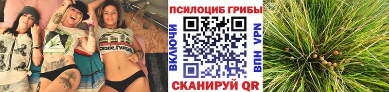 Галлюциногенные грибы Magic Shrooms  даркнет сайт  Чапаевск 