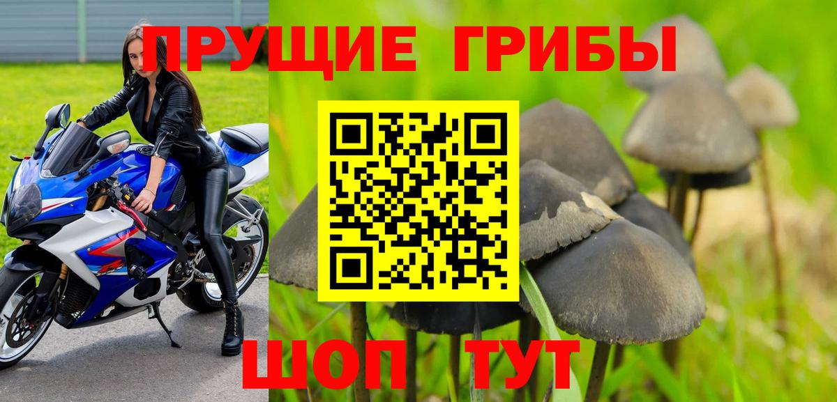 что такое наркотик  Галлюциногенные грибы прущие грибы  Вход с VPN  Чапаевск 